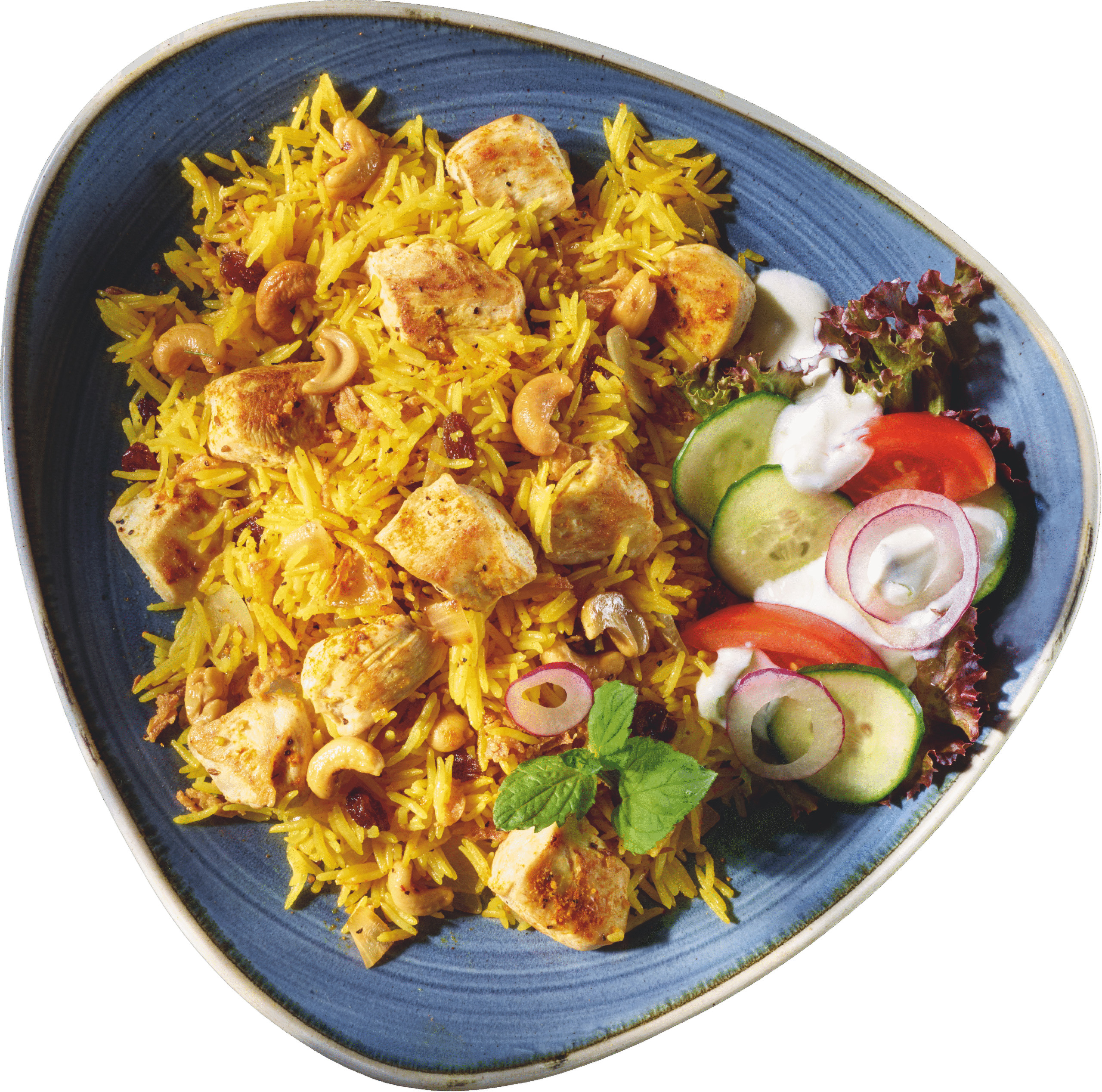 Chicken Biryani scaled